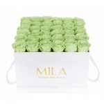  Mila-Roses-01345 Mila Classique Luxe Blanc Classique - Mint
