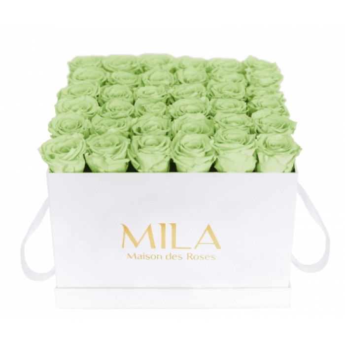 Mila Classique Luxe Blanc Classique - Mint
