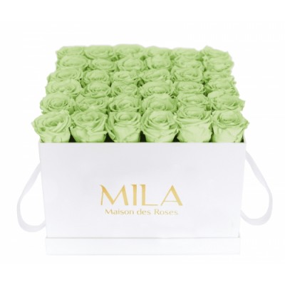 Produit Mila-Roses-01345 Mila Classique Luxe Blanc Classique - Mint