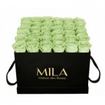  Mila-Roses-01348 Mila Classique Luxe Noir Classique - Mint