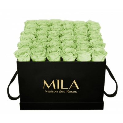 Produit Mila-Roses-01348 Mila Classique Luxe Noir Classique - Mint