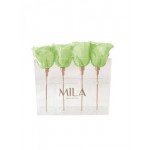  Mila-Roses-01363 Mila Acrylic Mini Table - Mint