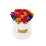  Mila-Roses-01370 Mila Acrylic Round - Rainbow