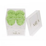  Mila-Roses-01372 Mila Acrylic Mini Bijou - Mint