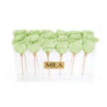  Mila-Roses-01375 Mila Acrylic Table - Mint