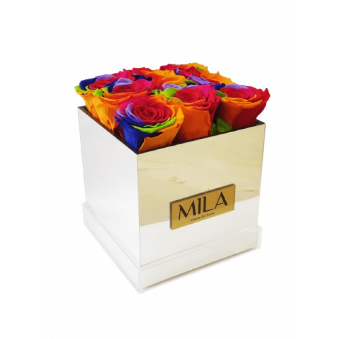 Mila Acrylic Mirror - Rainbow