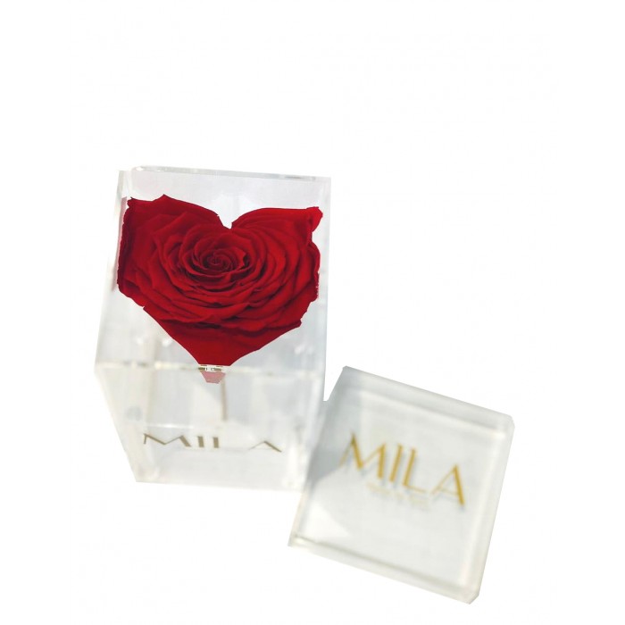 Mila Acrylic Single XXL - Heart