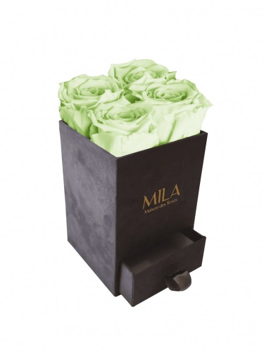 Produit Mila-Roses-01403 Mila Velvet Mini Dark Grey Velvet Mini - Mint
