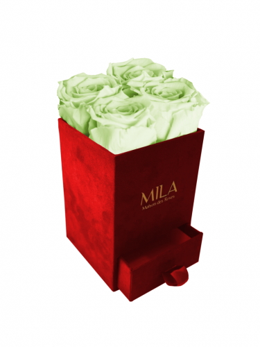 Produit Mila-Roses-01406 Mila Velvet Mini Red Velvet Mini - Mint