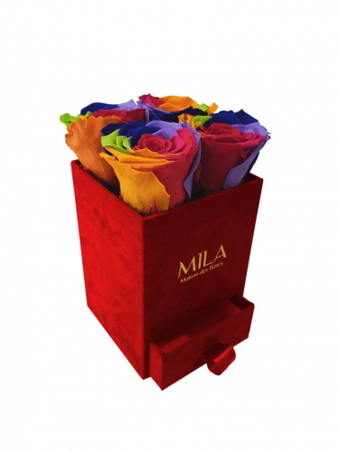 Produit Mila-Roses-01407 Mila Velvet Mini Red Velvet Mini - Rainbow