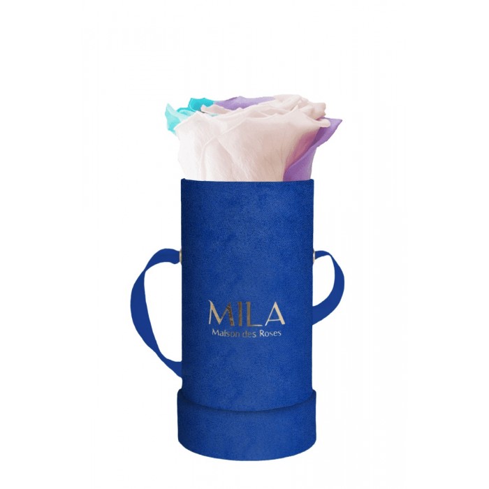 Mila Velvet Baby Royal Blue Velvet Baby - Sweet Candy