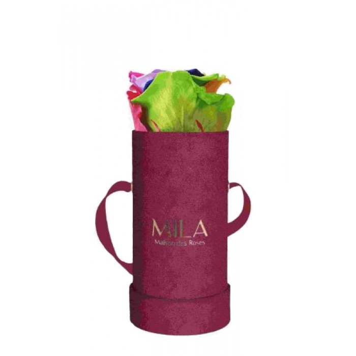 Mila Velvet Baby Burgundy Velvet Baby - Rainbow