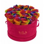  Mila-Roses-01425 Mila Burgundy Velvet Large - Rainbow