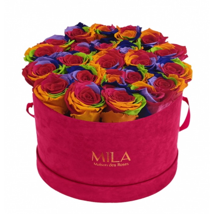 Mila Burgundy Velvet Large - Rainbow