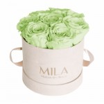  Mila-Roses-01427 Mila Velvet Small Nude Velvet Small - Mint