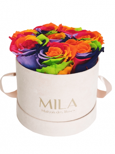 Produit Mila-Roses-01428 Mila Velvet Small Nude Velvet Small - Rainbow