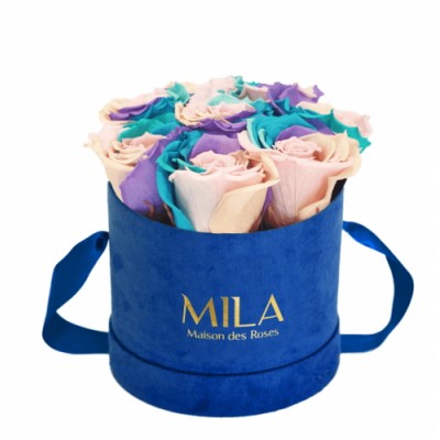 Produit Mila-Roses-01429 Mila Velvet Small Royal Blue Velvet Small - Sweet Candy