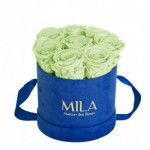  Mila-Roses-01430 Mila Velvet Small Royal Blue Velvet Small - Mint