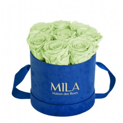 Produit Mila-Roses-01430 Mila Velvet Small Royal Blue Velvet Small - Mint