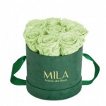  Mila-Roses-01433 Mila Velvet Small Emeraude Velvet Small - Mint