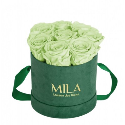 Produit Mila-Roses-01433 Mila Velvet Small Emeraude Velvet Small - Mint