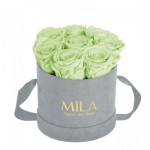  Mila-Roses-01436 Mila Velvet Small Light Grey Velvet Small - Mint