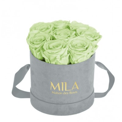 Produit Mila-Roses-01436 Mila Velvet Small Light Grey Velvet Small - Mint