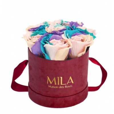 Produit Mila-Roses-01438 Mila Velvet Small Burgundy Velvet Small - Sweet Candy