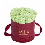  Mila-Roses-01439 Mila Velvet Small Burgundy Velvet Small - Mint