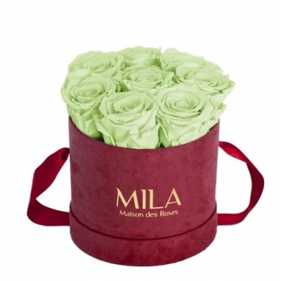 Produit Mila-Roses-01439 Mila Velvet Small Burgundy Velvet Small - Mint