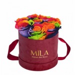  Mila-Roses-01440 Mila Velvet Small Burgundy Velvet Small - Rainbow