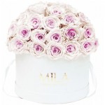  Mila-Roses-01550 Mila Classique Large Dome Blanc Classique - Pink bottom