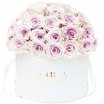 Produit Mila-Roses-01550 Mila Classique Large Dome Blanc Classique - Pink bottom