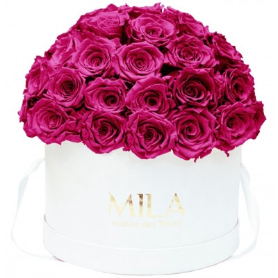 Produit Mila-Roses-01552 Mila Classique Large Dome Blanc Classique - Fuchsia