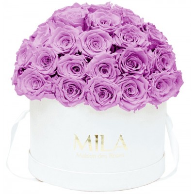 Produit Mila-Roses-01555 Mila Classique Large Dome Blanc Classique - Mauve