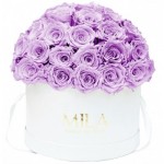  Mila-Roses-01556 Mila Classique Large Dome Blanc Classique - Lavender
