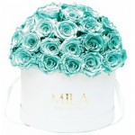  Mila-Roses-01558 Mila Classique Large Dome Blanc Classique - Aquamarine