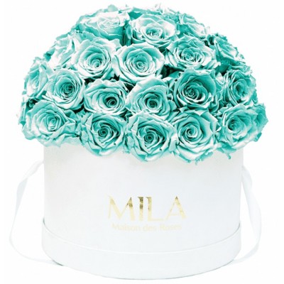 Produit Mila-Roses-01558 Mila Classique Large Dome Blanc Classique - Aquamarine
