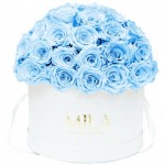  Mila-Roses-01559 Mila Classique Large Dome Blanc Classique - Baby blue