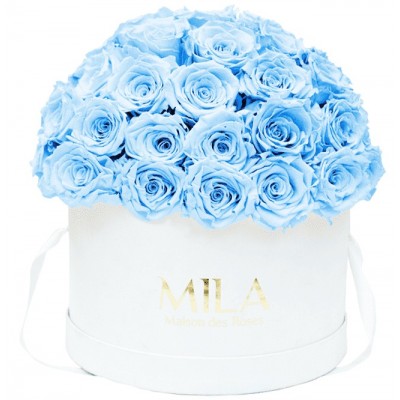 Produit Mila-Roses-01559 Mila Classique Large Dome Blanc Classique - Baby blue