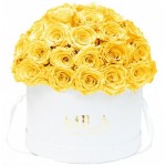  Mila-Roses-01560 Mila Classique Large Dome Blanc Classique - Yellow Sunshine