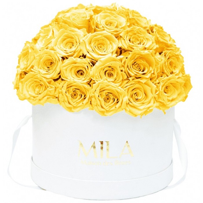 Mila Classique Large Dome Blanc Classique - Yellow Sunshine