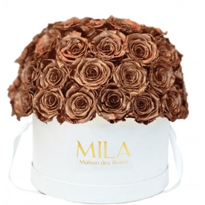 Produit Mila-Roses-01561 Mila Classique Large Dome Blanc Classique - Metallic Copper
