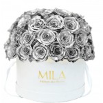  Mila-Roses-01562 Mila Classique Large Dome Blanc Classique - Metallic Silver