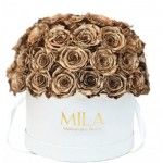  Mila-Roses-01563 Mila Classique Large Dome Blanc Classique - Metallic Gold