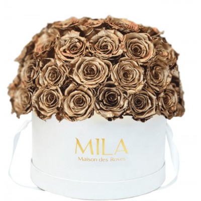 Produit Mila-Roses-01563 Mila Classique Large Dome Blanc Classique - Metallic Gold