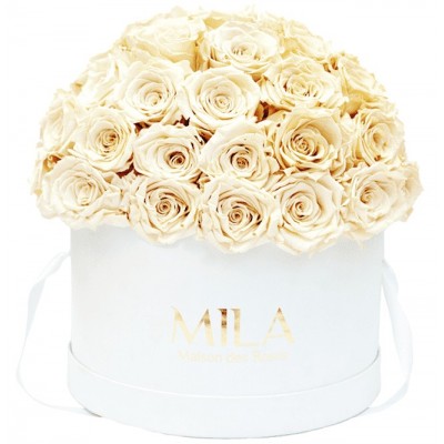 Produit Mila-Roses-01564 Mila Classique Large Dome Blanc Classique - Champagne