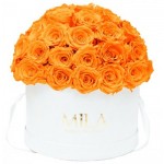  Mila-Roses-01565 Mila Classique Large Dome Blanc Classique - Orange Bloom