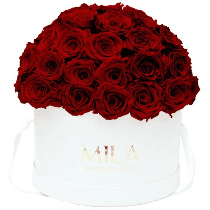 Mila Classique Large Dome Blanc Classique - Rubis Rouge