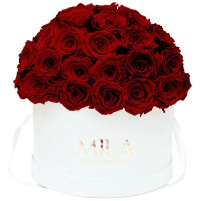 Produit Mila-Roses-01566 Mila Classique Large Dome Blanc Classique - Rubis Rouge